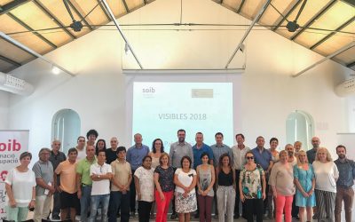 73 persones treballaran en l’Ajuntament de Palma gràcies al programa SOIB VISIBLES 2018