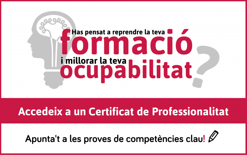 Formación y Ocupación Soib Islas Baleares Formación y Ocupación Soib Islas Baleares