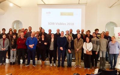Comença la segona fase de SOIB Visibles 2018, programa gràcies al qual PalmaActiva contracta un total de 73 persones