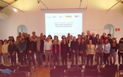30 personas trabajarán durante 12 meses en el Ayuntamiento de Palma gracias a los programas de Formación y Ocupación del SOIB