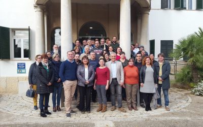 52 treballadors s’incorporen al Consell de Mallorca i a l’IMAS gràcies al programa SOIB Visibles 2019-2020