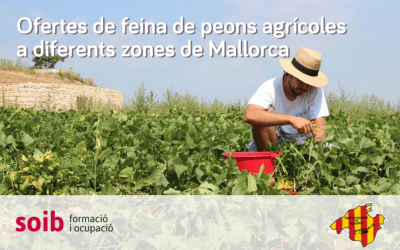 Unió de Pagesos de Mallorca ofrece 150 puestos de trabajo para la campaña agrícola en diferentes zonas
