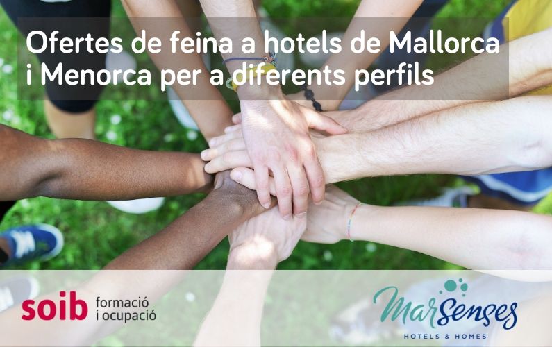 El grup Marsenses Hotels & Homes ofereix 46 llocs de feina per a diferents hotels a Mallorca i Menorca