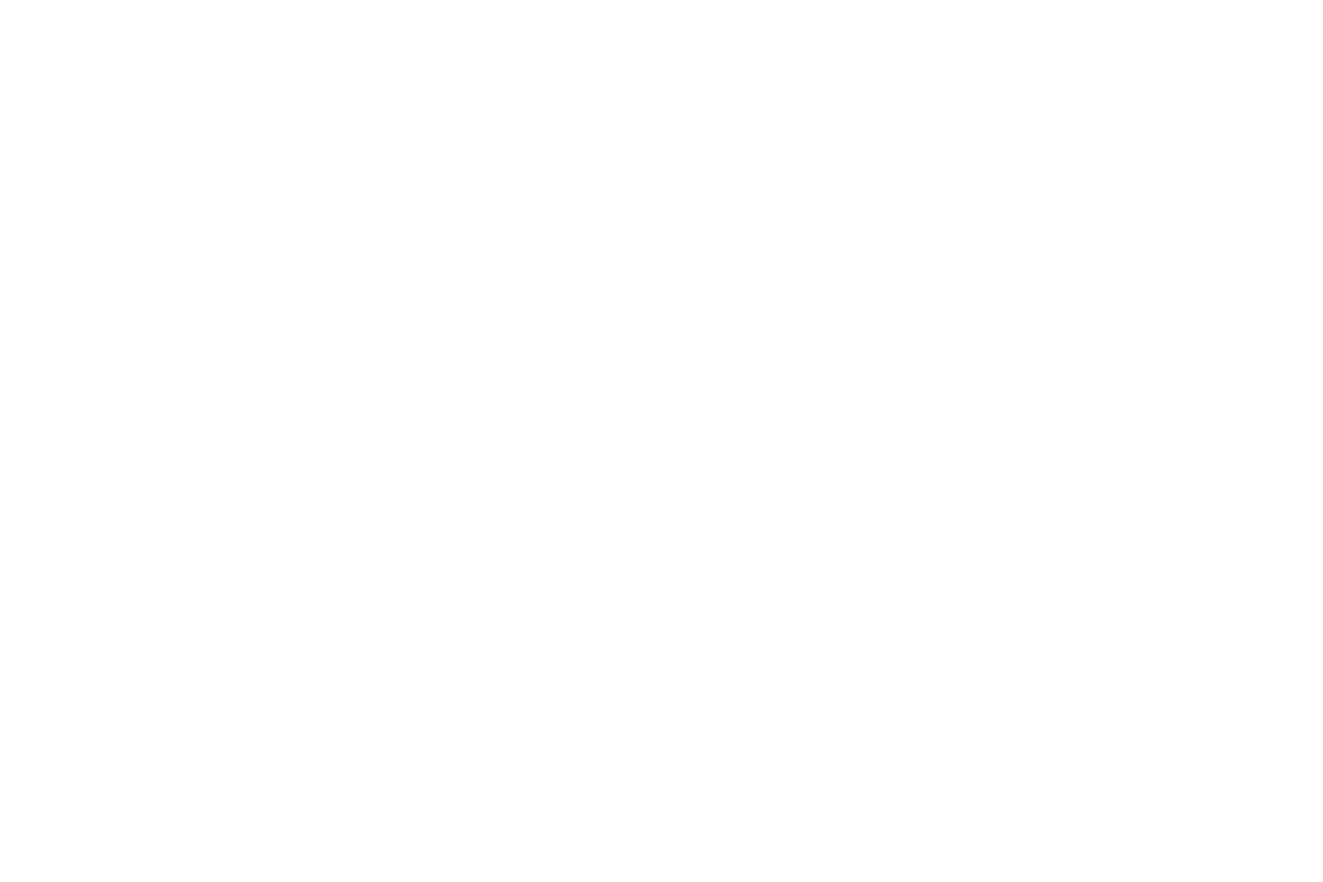 Servei d'Ocupacio