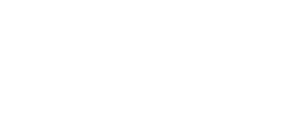 Servei d'Ocupacio