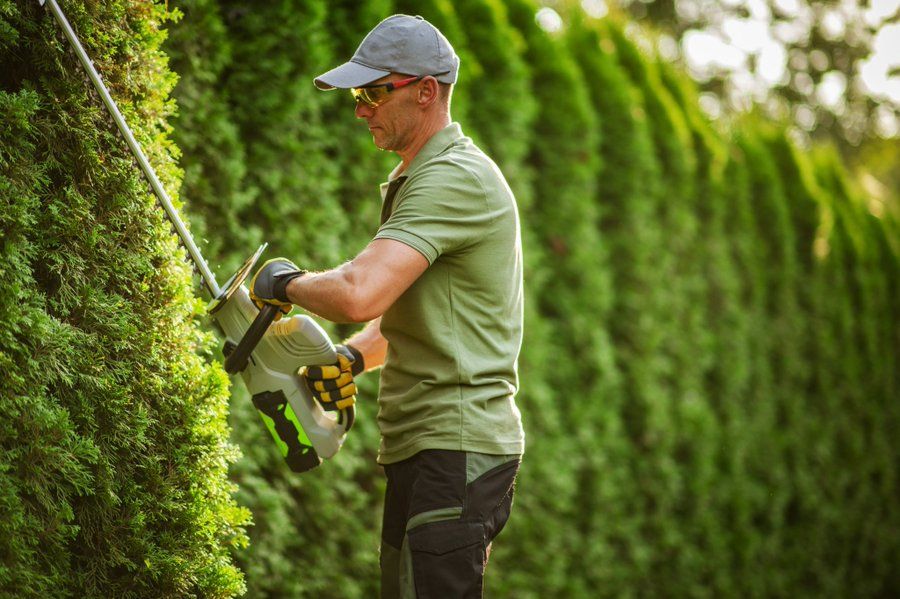 Obert el termini perquè els ajuntaments sol·licitin el programa SOIB Impulsa’t 2025-2026 per contractar persones en atur